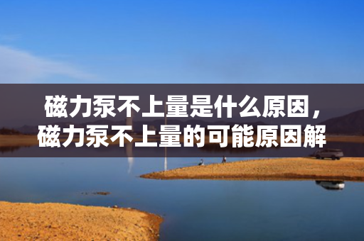 磁力泵不上量是什么原因，磁力泵不上量的可能原因解析