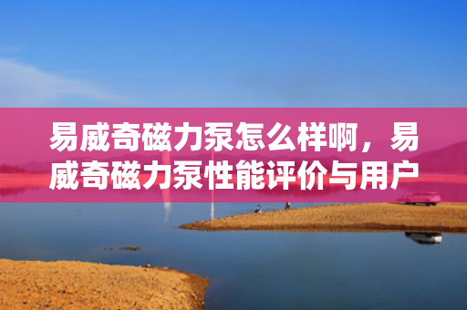 易威奇磁力泵怎么样啊，易威奇磁力泵性能评价与用户反馈