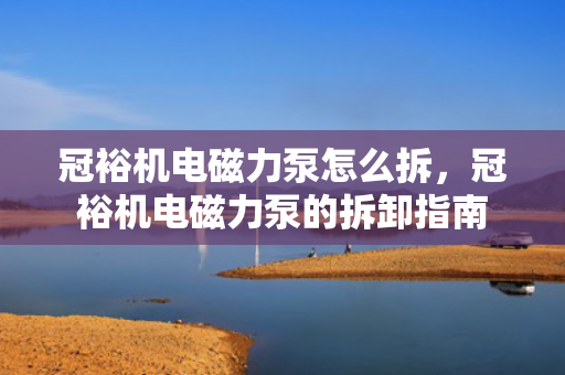 冠裕机电磁力泵怎么拆，冠?；绱帕Ρ玫牟鹦吨改? title=