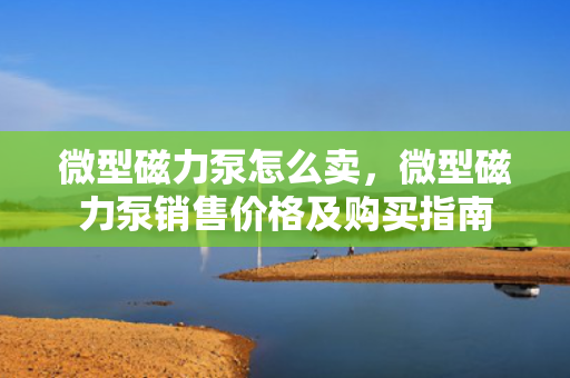 微型磁力泵怎么卖，微型磁力泵销售价格及购买指南