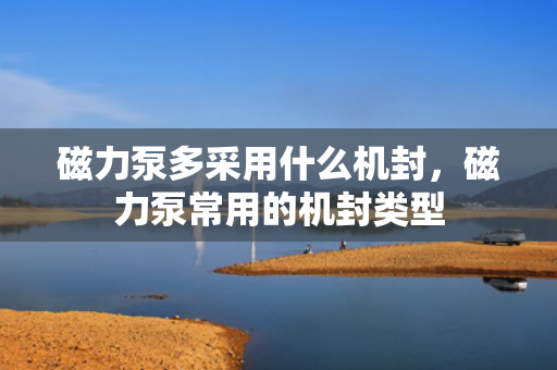 磁力泵多采用什么机封，磁力泵常用的机封类型
