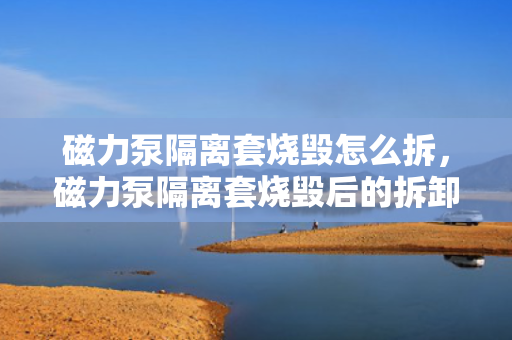 磁力泵隔离套烧毁怎么拆，磁力泵隔离套烧毁后的拆卸方法
