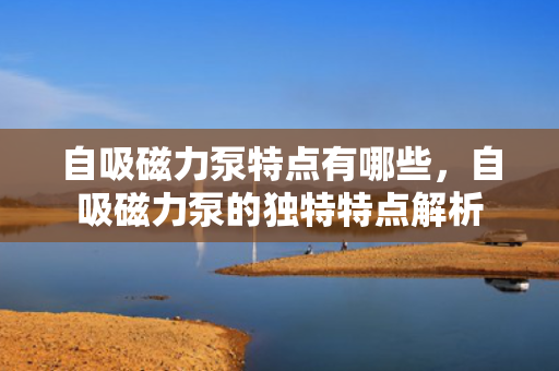 自吸磁力泵特点有哪些，自吸磁力泵的独特特点解析