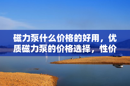 磁力泵什么价格的好用，优质磁力泵的价格选择，性价比高的型号推荐