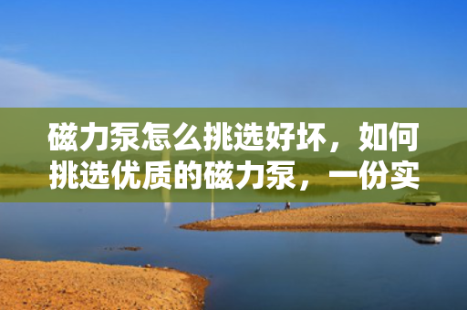 磁力泵怎么挑选好坏，如何挑选优质的磁力泵，一份实用指南