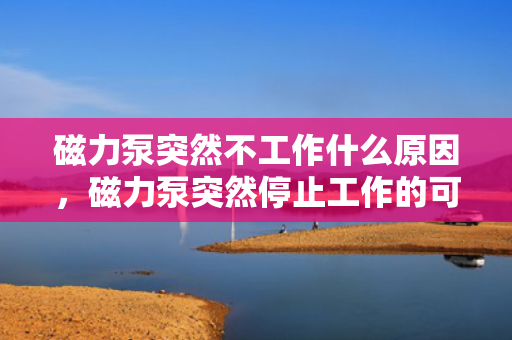 磁力泵突然不工作什么原因，磁力泵突然停止工作的可能原因解析