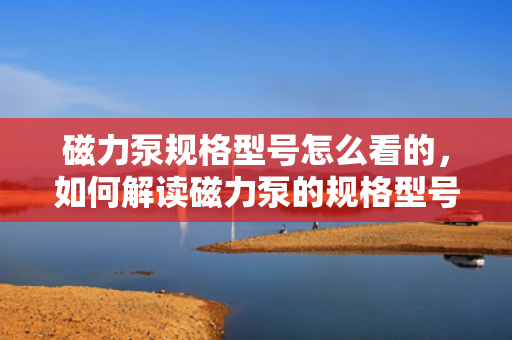 磁力泵规格型号怎么看的，如何解读磁力泵的规格型号