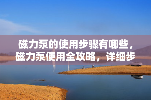 磁力泵的使用步骤有哪些，磁力泵使用全攻略，详细步骤解析
