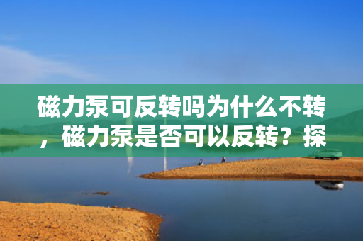 磁力泵可反转吗为什么不转，磁力泵是否可以反转？探究其不转的原因
