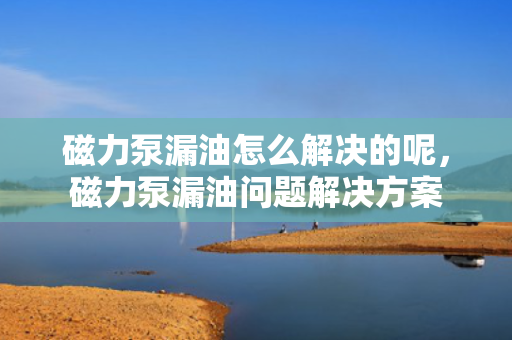 磁力泵漏油怎么解决的呢，磁力泵漏油问题解决方案