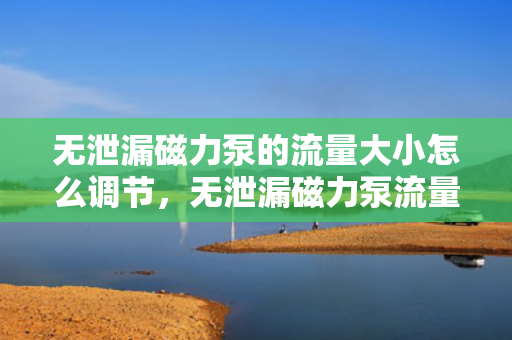 无泄漏磁力泵的流量大小怎么调节，无泄漏磁力泵流量调节方法解析