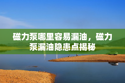 磁力泵哪里容易漏油，磁力泵漏油隐患点揭秘