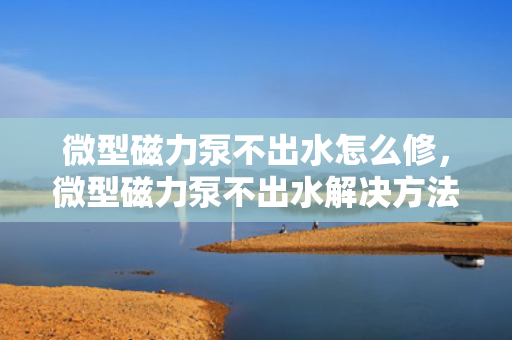 微型磁力泵不出水怎么修，微型磁力泵不出水解决方法及维修指南