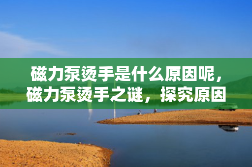 磁力泵烫手是什么原因呢，磁力泵烫手之谜，探究原因与解决方案