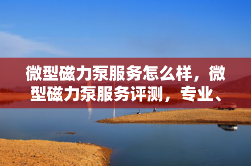 微型磁力泵服务怎么样，微型磁力泵服务评测，专业、高效、满意之选