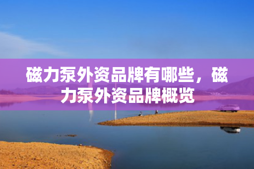 磁力泵外资品牌有哪些，磁力泵外资品牌概览