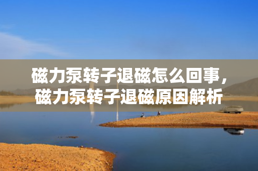 磁力泵转子退磁怎么回事，磁力泵转子退磁原因解析