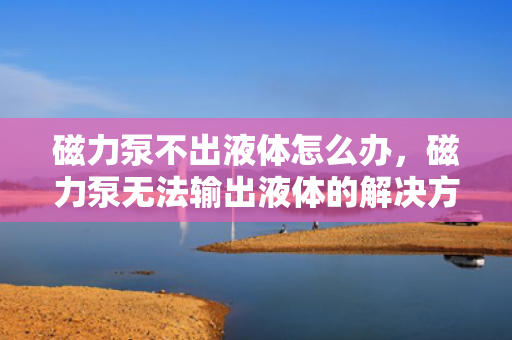 磁力泵不出液体怎么办，磁力泵无法输出液体的解决方法