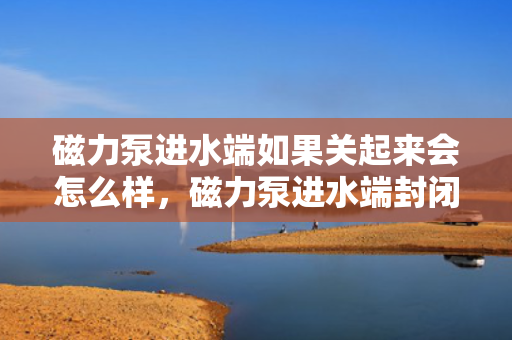 磁力泵进水端如果关起来会怎么样，磁力泵进水端封闭后的影响及后果解析