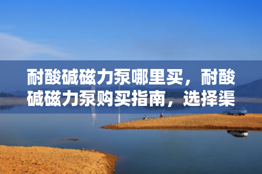 耐酸碱磁力泵哪里买，耐酸碱磁力泵购买指南，选择渠道与注意事项