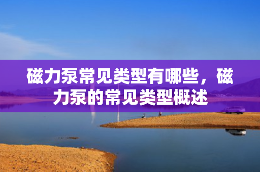 磁力泵常见类型有哪些，磁力泵的常见类型概述