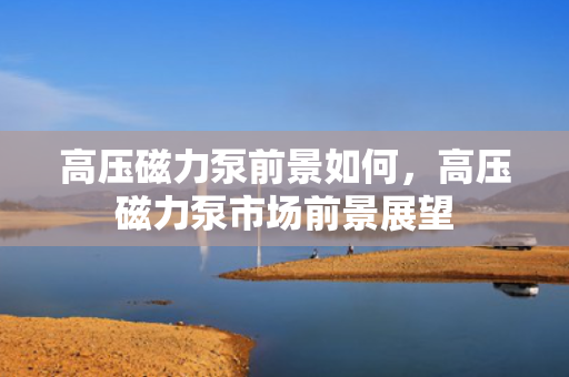 高压磁力泵前景如何，高压磁力泵市场前景展望