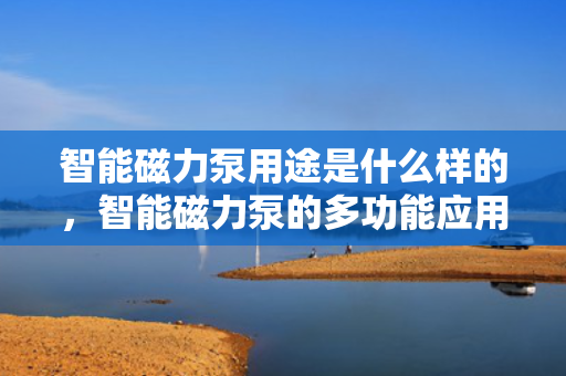 智能磁力泵用途是什么样的，智能磁力泵的多功能应用及介绍