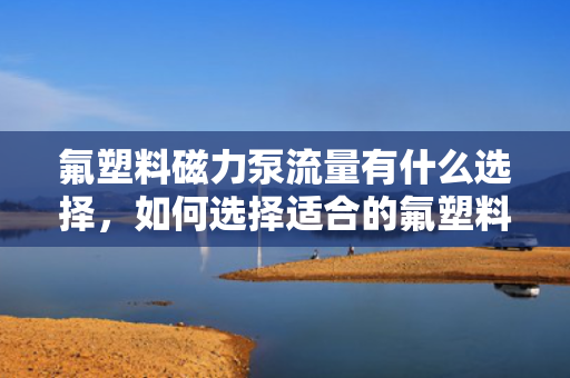 氟塑料磁力泵流量有什么选择，如何选择适合的氟塑料磁力泵流量
