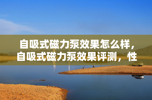 自吸式磁力泵效果怎么样，自吸式磁力泵效果评测，性能卓越，高效稳定