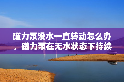 磁力泵没水一直转动怎么办，磁力泵在无水状态下持续转动的解决方案