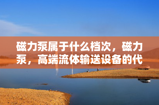 磁力泵属于什么档次，磁力泵，高端流体输送设备的代表