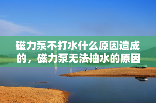 磁力泵不打水什么原因造成的，磁力泵无法抽水的原因解析
