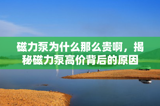 磁力泵为什么那么贵啊，揭秘磁力泵高价背后的原因