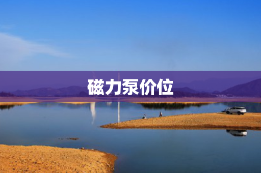 磁力泵价位