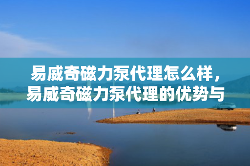 易威奇磁力泵代理怎么样，易威奇磁力泵代理的优势与前景分析