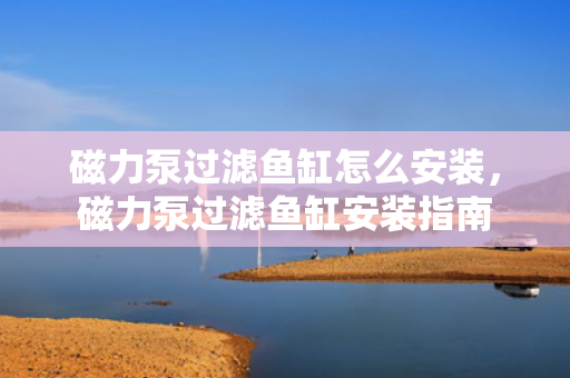 磁力泵过滤鱼缸怎么安装，磁力泵过滤鱼缸安装指南