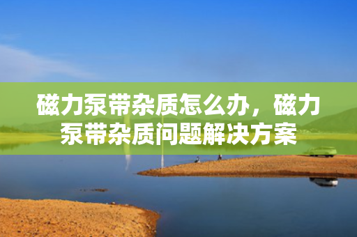 磁力泵带杂质怎么办，磁力泵带杂质问题解决方案