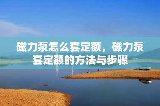 磁力泵怎么套定额，磁力泵套定额的方法与步骤