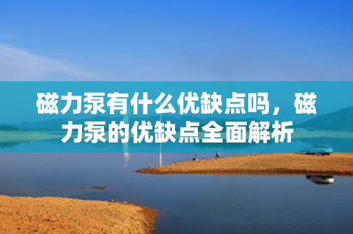 磁力泵有什么优缺点吗，磁力泵的优缺点全面解析