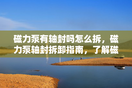 磁力泵有轴封吗怎么拆，磁力泵轴封拆卸指南，了解磁力泵轴封及其拆卸方法