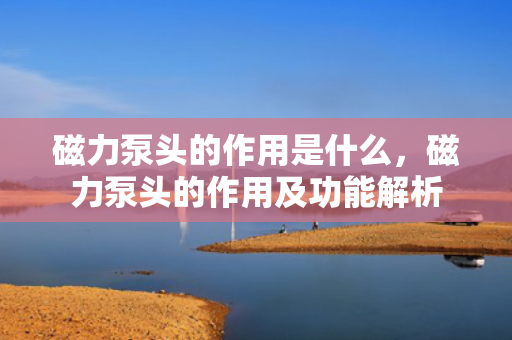磁力泵头的作用是什么，磁力泵头的作用及功能解析