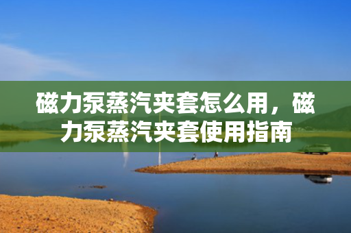 磁力泵蒸汽夹套怎么用，磁力泵蒸汽夹套使用指南