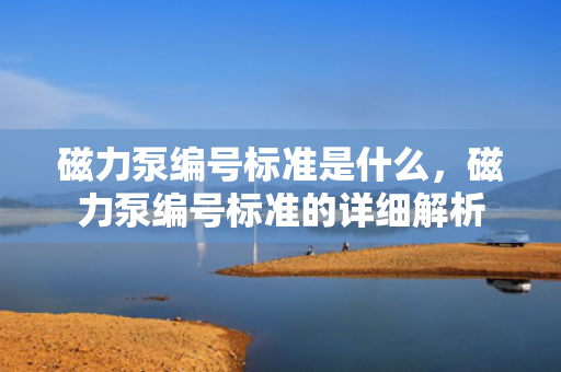 磁力泵编号标准是什么，磁力泵编号标准的详细解析