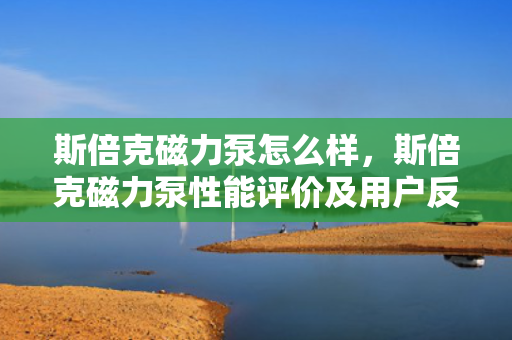 斯倍克磁力泵怎么样，斯倍克磁力泵性能评价及用户反馈