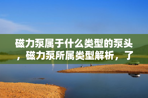 磁力泵属于什么类型的泵头，磁力泵所属类型解析，了解磁力泵是何种泵头