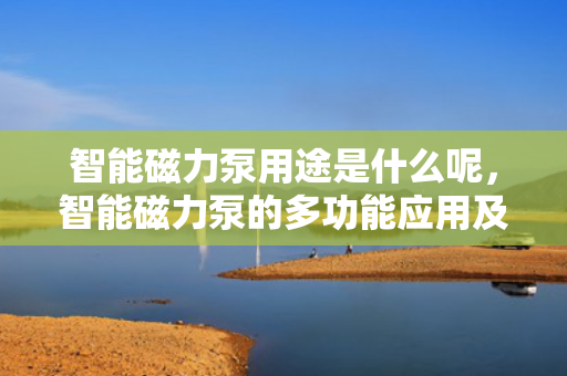 智能磁力泵用途是什么呢，智能磁力泵的多功能应用及其作用解析