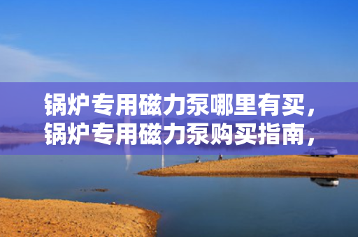 锅炉专用磁力泵哪里有买，锅炉专用磁力泵购买指南，找到最适合您的产品供应商