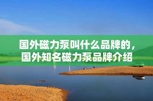 国外磁力泵叫什么品牌的，国外知名磁力泵品牌介绍
