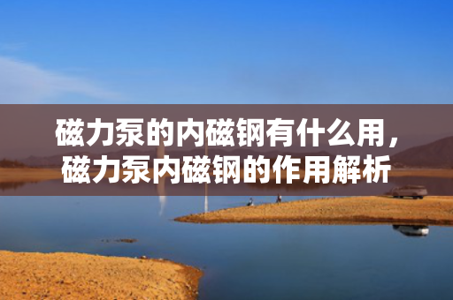 磁力泵的内磁钢有什么用，磁力泵内磁钢的作用解析