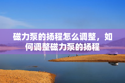 磁力泵的扬程怎么调整，如何调整磁力泵的扬程